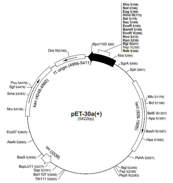 5d47d3e528b29.png blob.png