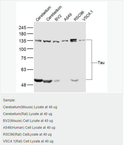 6052ad6db279a.png image.png