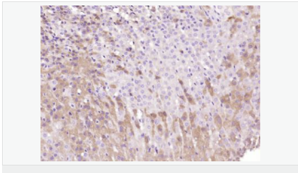 6052b32c40e3f.png image.png