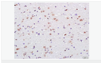 60544ee259753.png image.png