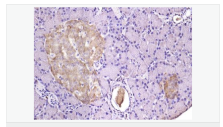 60580230592c7.png image.png