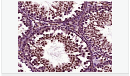 605803404aa7a.png image.png