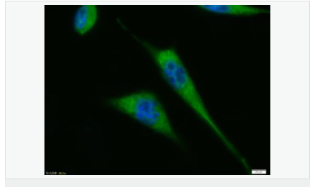 605803de67c8a.png image.png