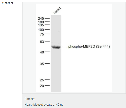 60582d3fbb6dc.png image.png