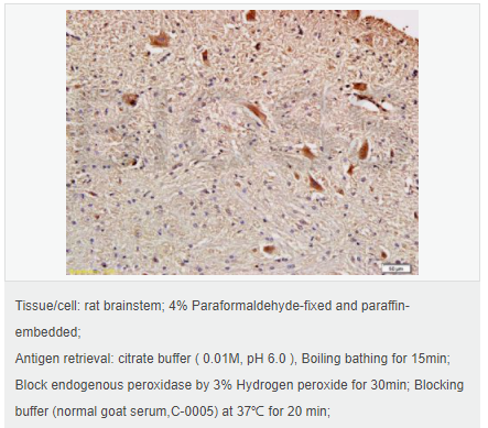 6058440a16130.png image.png