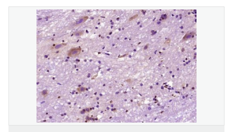 60584c830b81e.png image.png