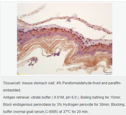 605850421c43f.png image.png