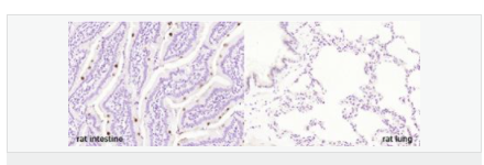 60594341029f0.png image.png