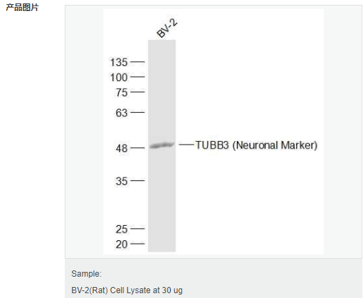 60594cb1e368c.png image.png