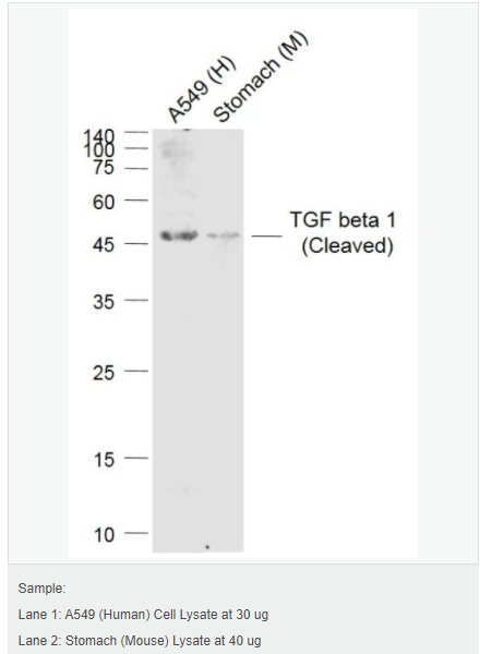 6059506985927.png image.png