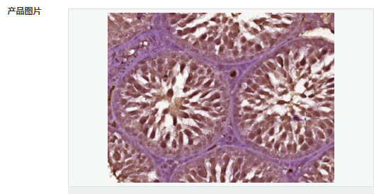 605958b5848a8.png image.png