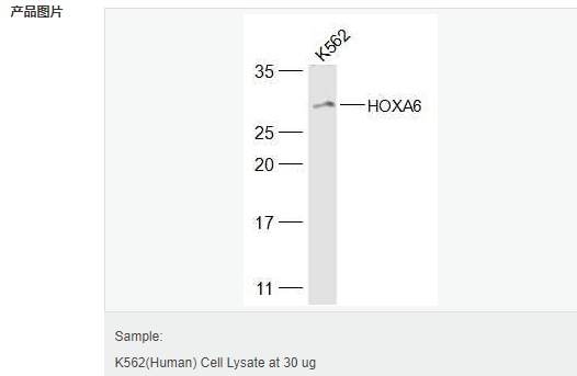 60595b2d868f0.png image.png