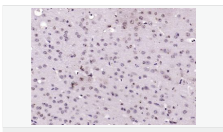 60595d3d62e77.png image.png