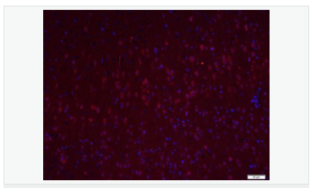 60598b7d3bad1.png image.png