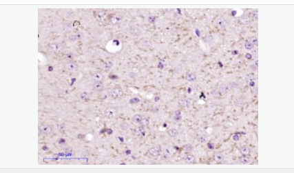 605c43156fc61.png image.png