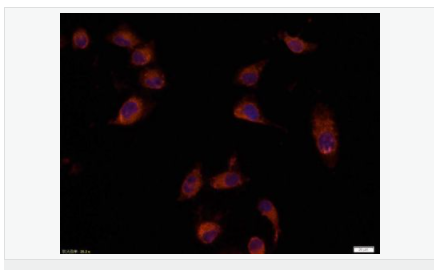 605c48411216f.png image.png