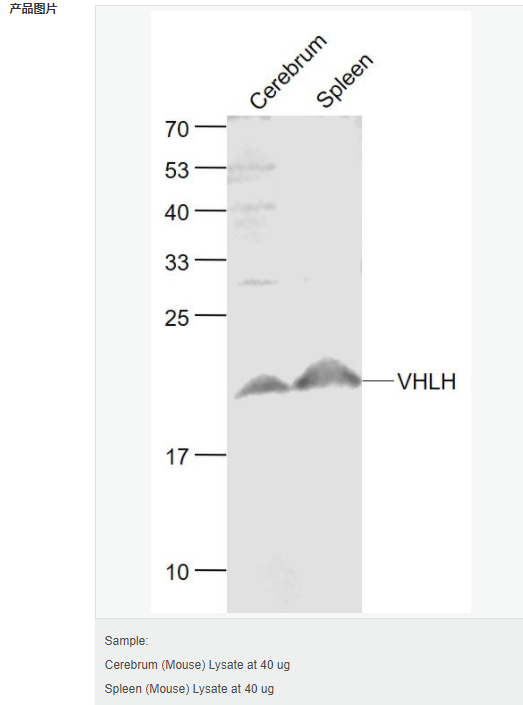 605d829c85735.png image.png