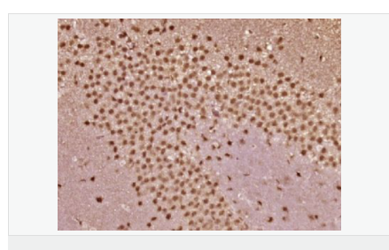 605d82ab0a729.png image.png