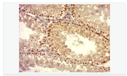 605d91834f4bf.png image.png