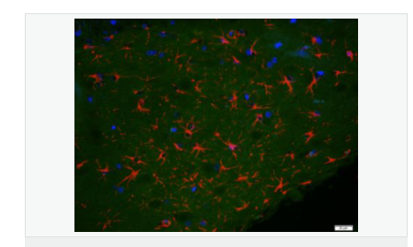 60612c422fe02.png image.png