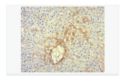 60616ea628aa3.png image.png