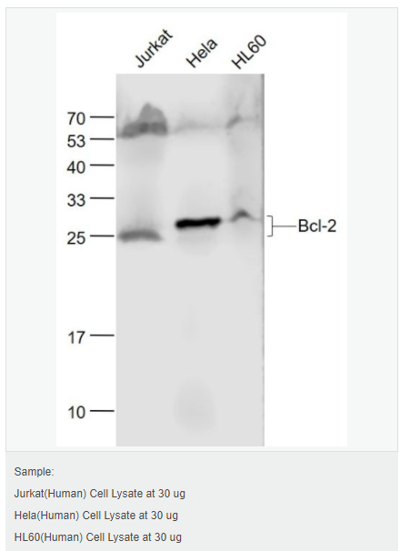 6066d307b3624.png image.png