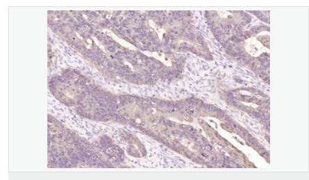 6066d3148a8e4.png image.png