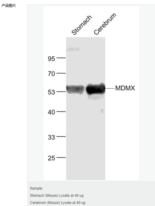 60763e45ee891.png image.png