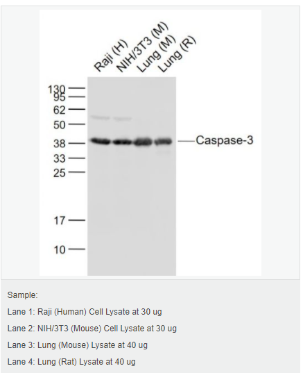 607640a107f26.png image.png