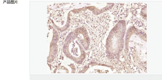 60765b4e49a75.png image.png