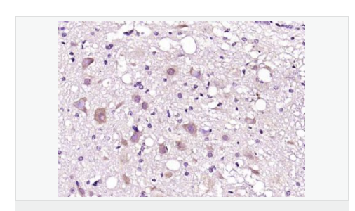 60768a38db85d.png image.png