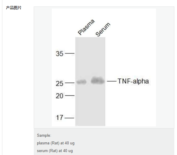 60779c560f1d7.png image.png