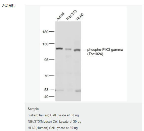 6077acbb7a2fe.png image.png