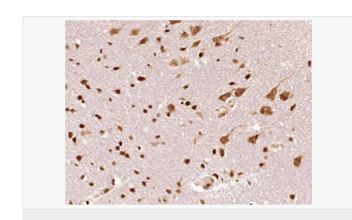 6078dec646658.png image.png