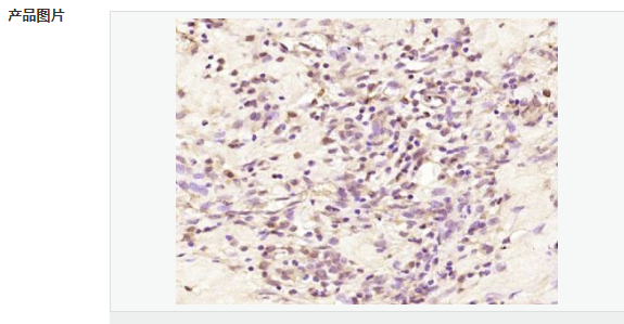 6079367cab643.png image.png