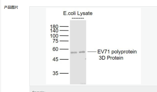 6079517f810c0.png image.png