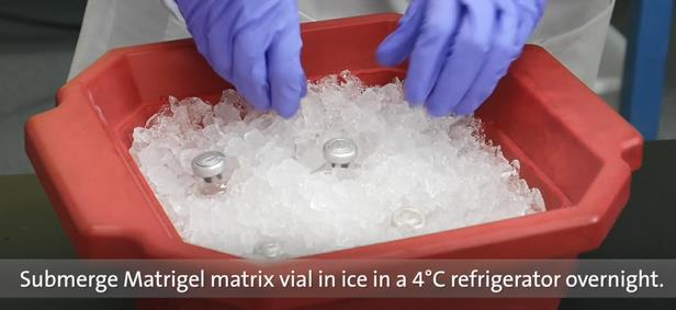 60e65e81214c7.png 60e65e81214c7.png