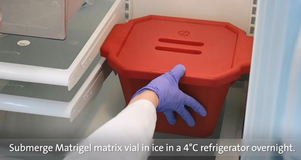 60e65e890e716.png 60e65e890e716.png