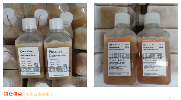 63e59609e7731.png image.png