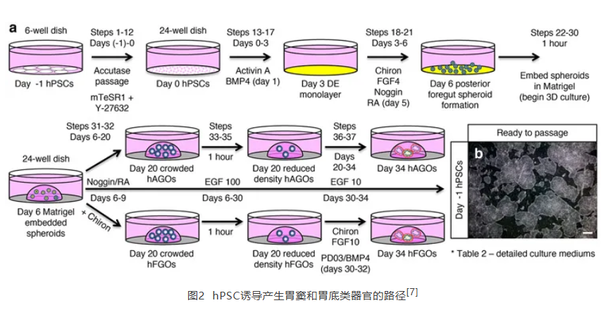 675b8e12e55b0.png image.png